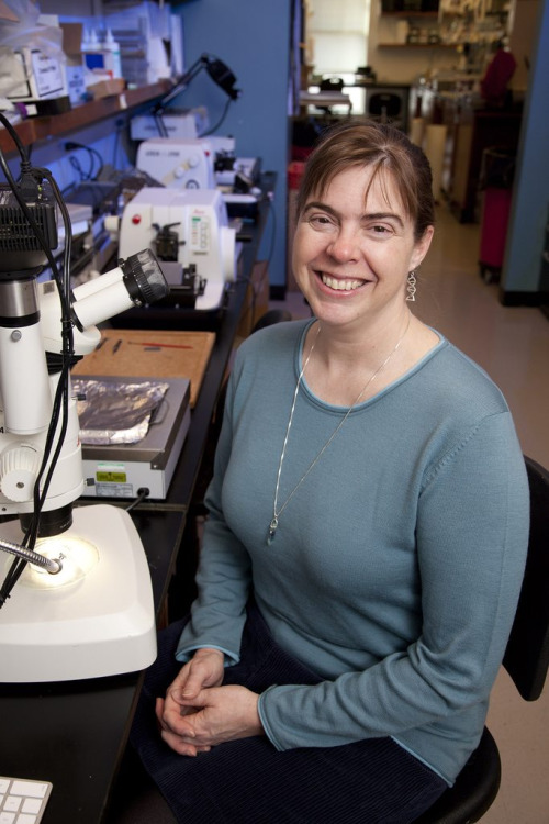 femme cougar pour jeune coquin rencontre libertine 139